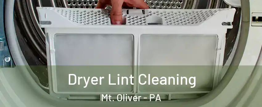 Dryer Lint Cleaning Mt. Oliver - PA