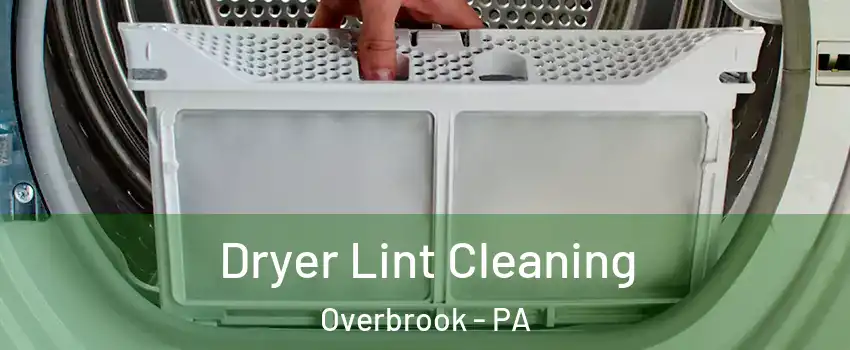 Dryer Lint Cleaning Overbrook - PA
