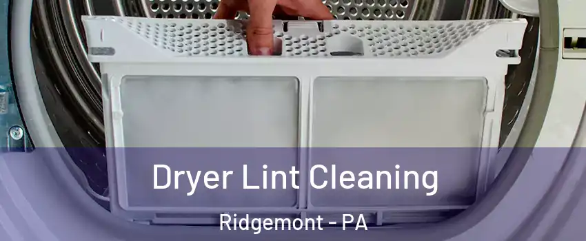 Dryer Lint Cleaning Ridgemont - PA