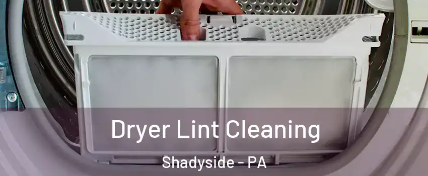 Dryer Lint Cleaning Shadyside - PA