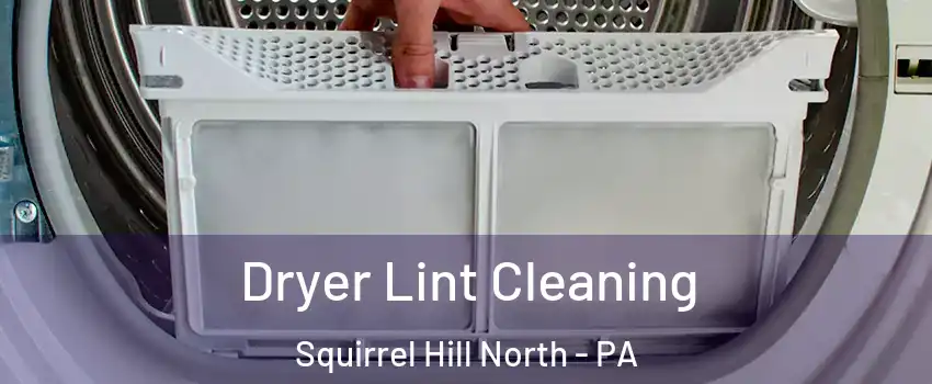 Dryer Lint Cleaning Squirrel Hill North - PA