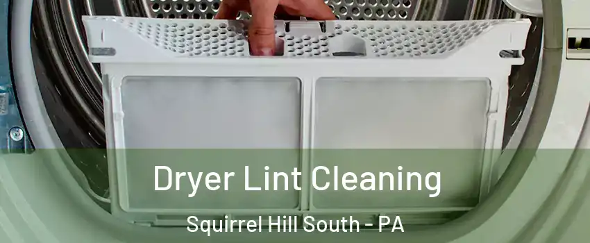 Dryer Lint Cleaning Squirrel Hill South - PA