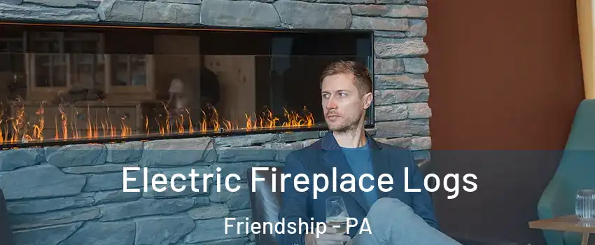 Electric Fireplace Logs Friendship - PA