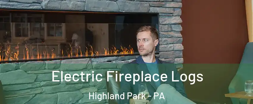 Electric Fireplace Logs Highland Park - PA