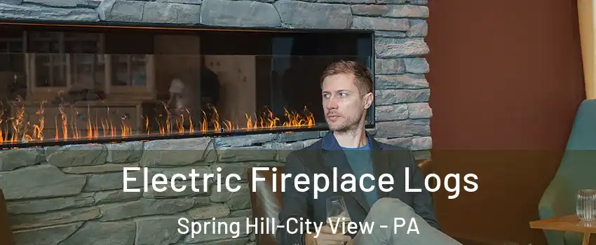 Electric Fireplace Logs Spring Hill-City View - PA