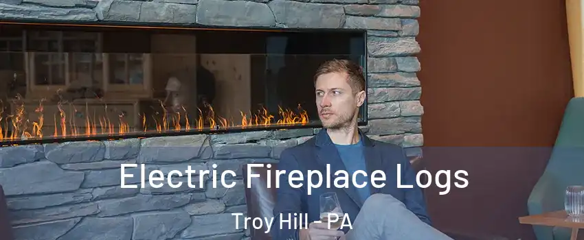 Electric Fireplace Logs Troy Hill - PA