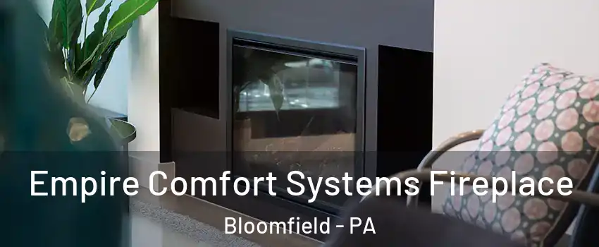 Empire Comfort Systems Fireplace Bloomfield - PA