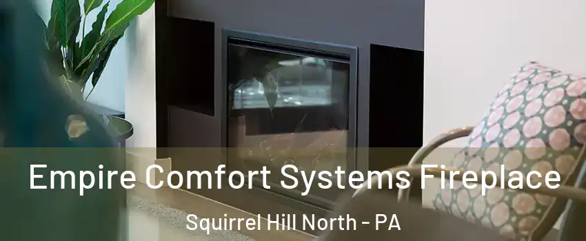 Empire Comfort Systems Fireplace Squirrel Hill North - PA