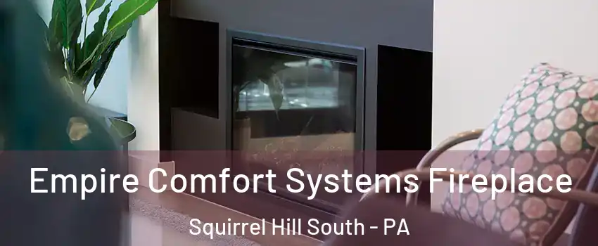 Empire Comfort Systems Fireplace Squirrel Hill South - PA
