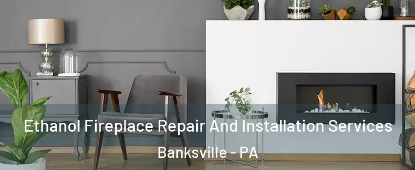 Ethanol Fireplace Repair And Installation Services Banksville - PA