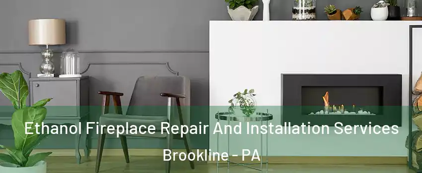 Ethanol Fireplace Repair And Installation Services Brookline - PA