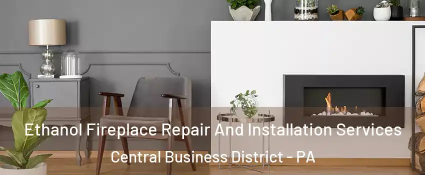 Ethanol Fireplace Repair And Installation Services Central Business District - PA