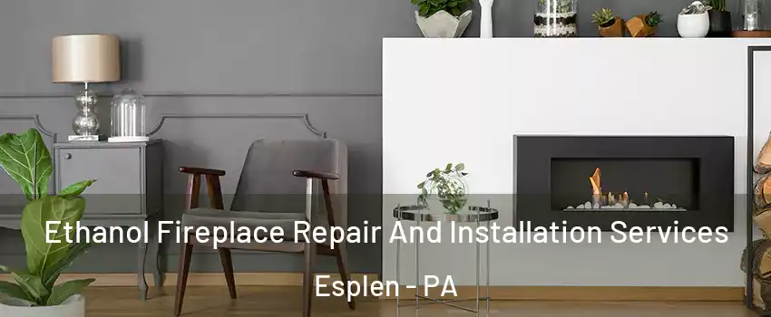 Ethanol Fireplace Repair And Installation Services Esplen - PA