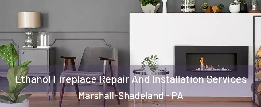Ethanol Fireplace Repair And Installation Services Marshall-Shadeland - PA