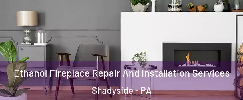 Ethanol Fireplace Repair And Installation Services Shadyside - PA