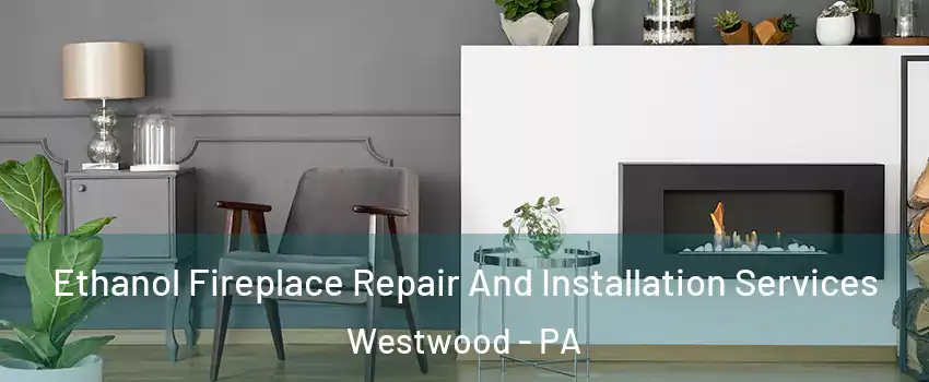 Ethanol Fireplace Repair And Installation Services Westwood - PA