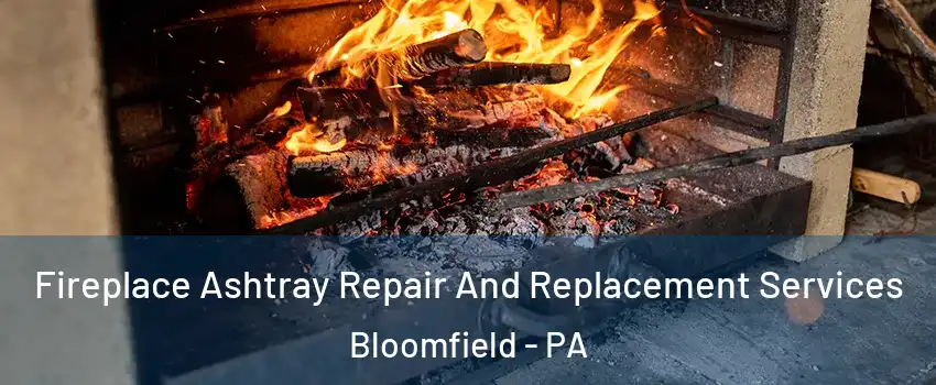 Fireplace Ashtray Repair And Replacement Services Bloomfield - PA