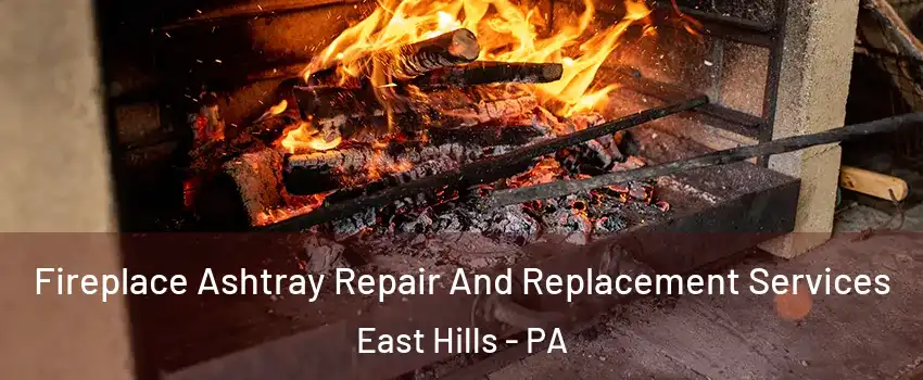 Fireplace Ashtray Repair And Replacement Services East Hills - PA