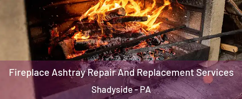 Fireplace Ashtray Repair And Replacement Services Shadyside - PA