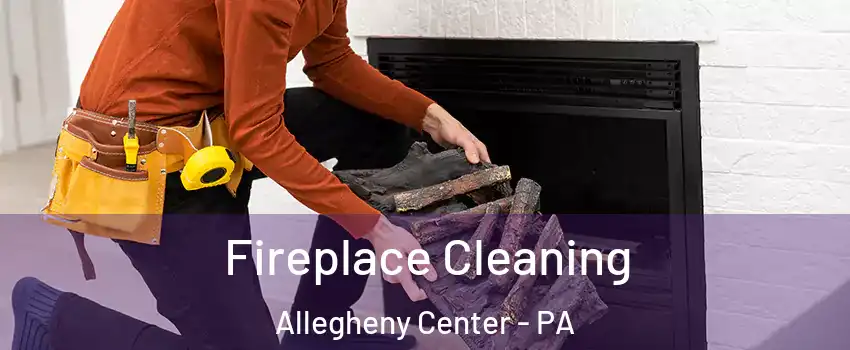 Fireplace Cleaning Allegheny Center - PA