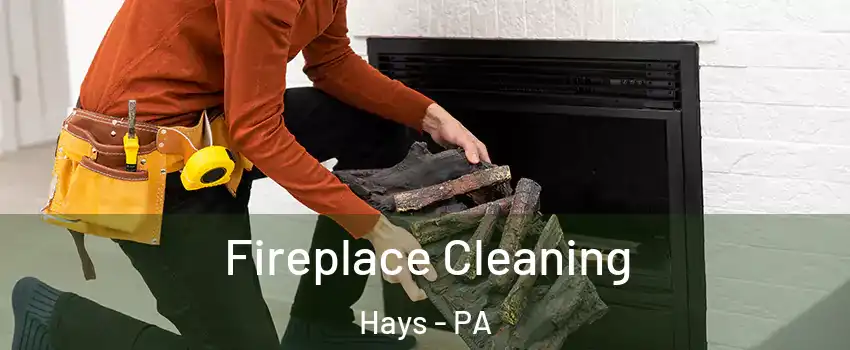 Fireplace Cleaning Hays - PA