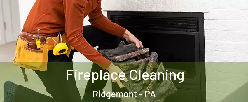 Fireplace Cleaning Ridgemont - PA