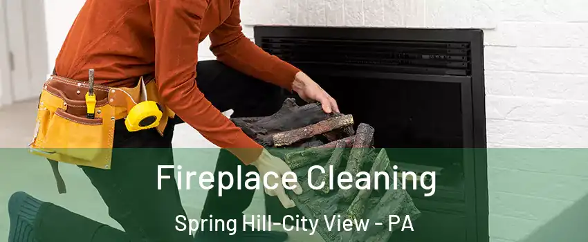 Fireplace Cleaning Spring Hill-City View - PA