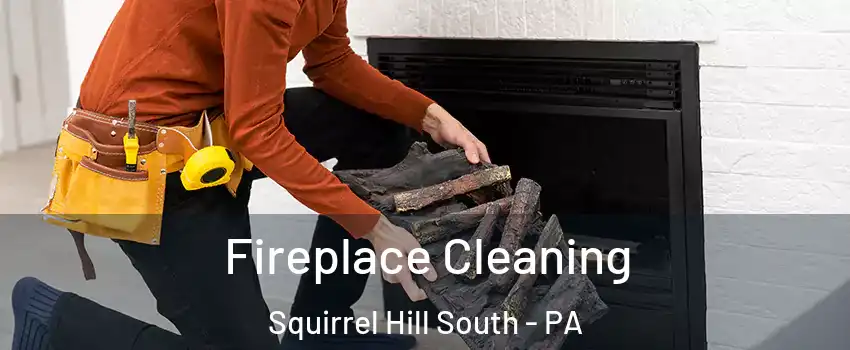 Fireplace Cleaning Squirrel Hill South - PA