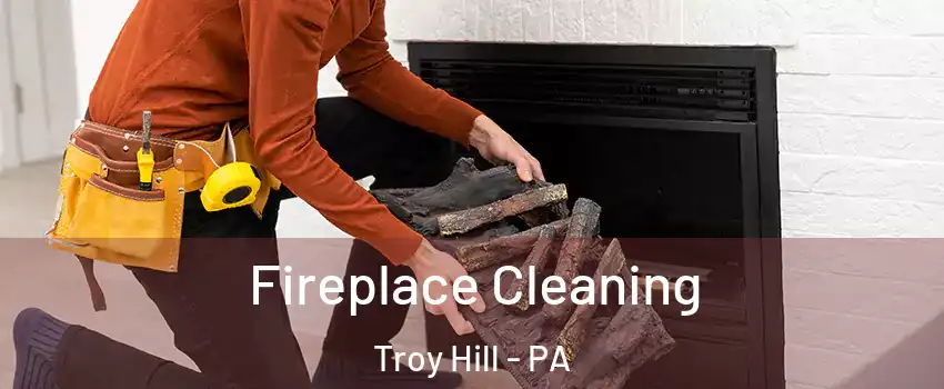 Fireplace Cleaning Troy Hill - PA