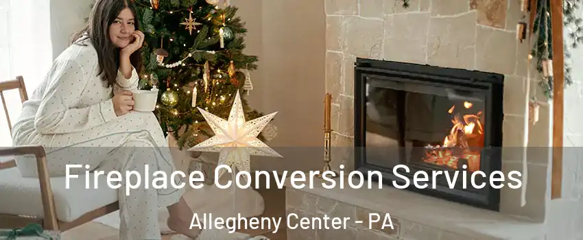 Fireplace Conversion Services Allegheny Center - PA