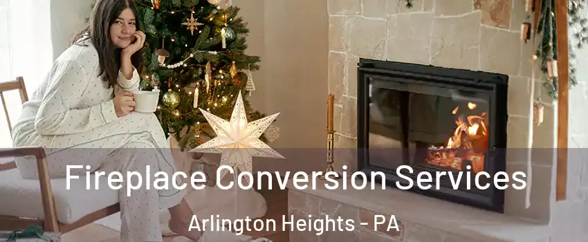 Fireplace Conversion Services Arlington Heights - PA