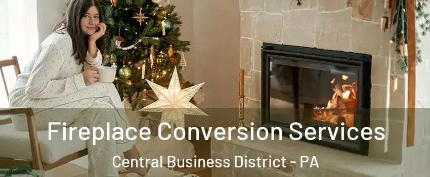 Fireplace Conversion Services Central Business District - PA