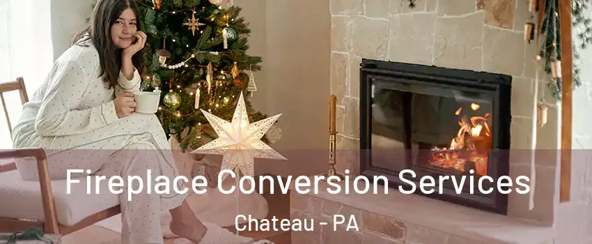 Fireplace Conversion Services Chateau - PA