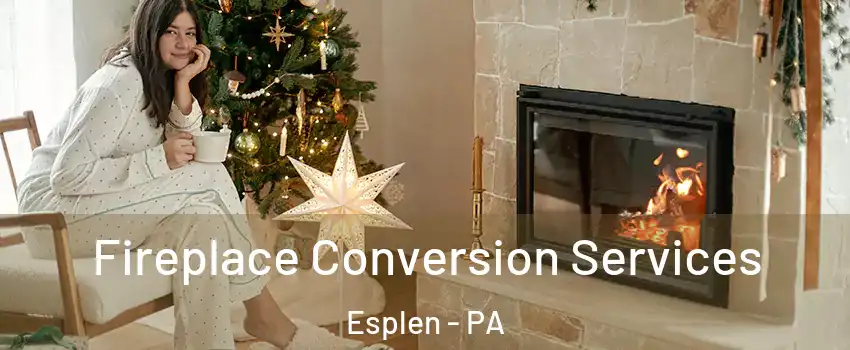 Fireplace Conversion Services Esplen - PA