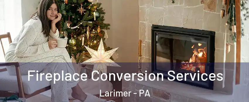 Fireplace Conversion Services Larimer - PA
