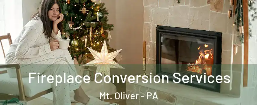 Fireplace Conversion Services Mt. Oliver - PA