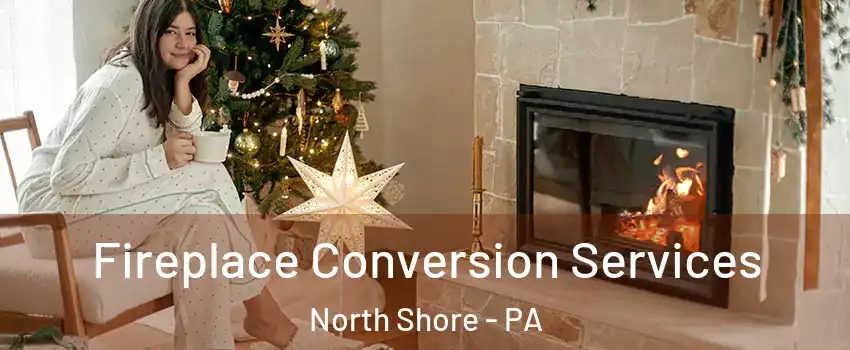Fireplace Conversion Services North Shore - PA