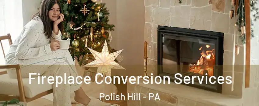 Fireplace Conversion Services Polish Hill - PA