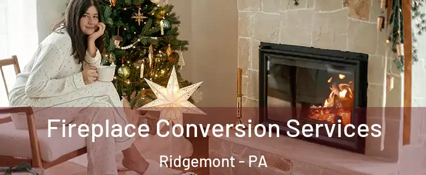 Fireplace Conversion Services Ridgemont - PA