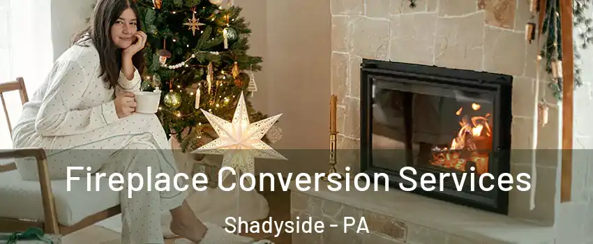Fireplace Conversion Services Shadyside - PA