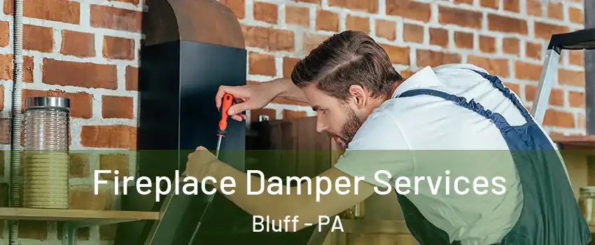 Fireplace Damper Services Bluff - PA