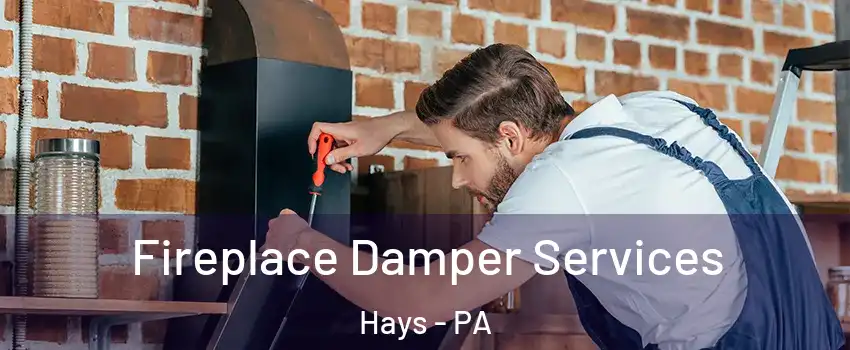 Fireplace Damper Services Hays - PA