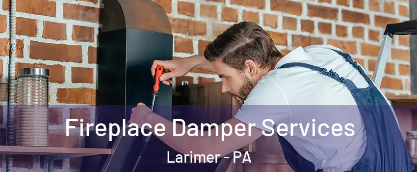 Fireplace Damper Services Larimer - PA