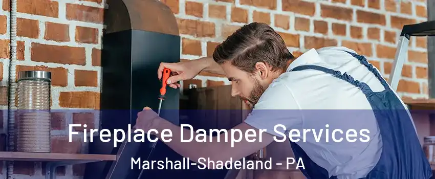 Fireplace Damper Services Marshall-Shadeland - PA