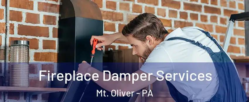 Fireplace Damper Services Mt. Oliver - PA