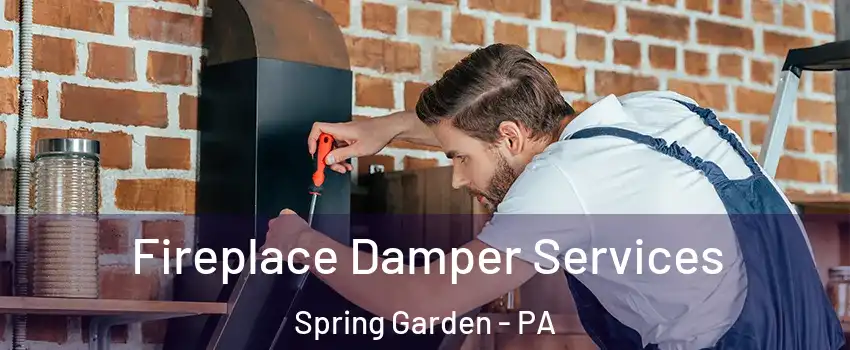 Fireplace Damper Services Spring Garden - PA