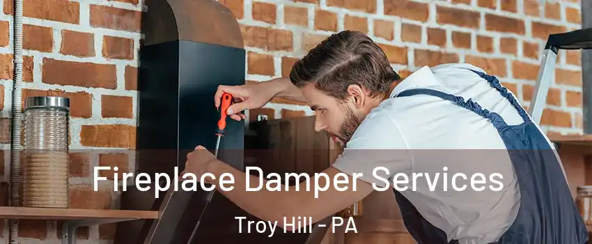 Fireplace Damper Services Troy Hill - PA