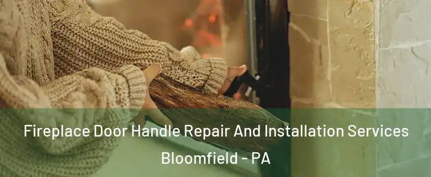 Fireplace Door Handle Repair And Installation Services Bloomfield - PA