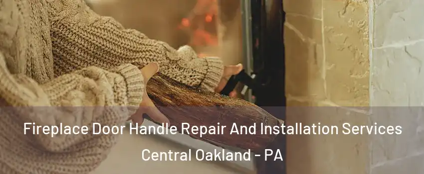 Fireplace Door Handle Repair And Installation Services Central Oakland - PA
