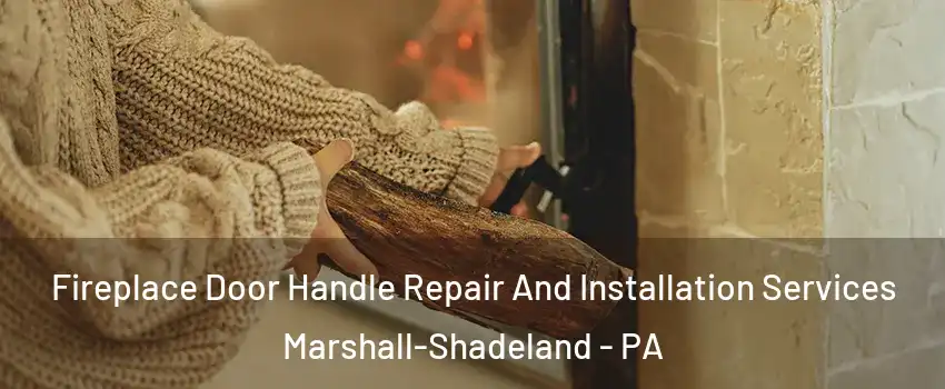 Fireplace Door Handle Repair And Installation Services Marshall-Shadeland - PA